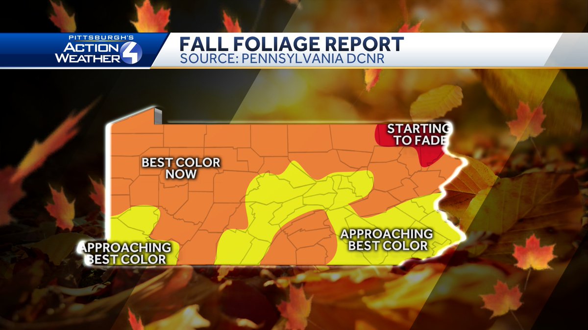 Cam Tran On Twitter This Week Will Be A Great Week To Go Leaf Peeping Areas North Of The City And In The Ridges Are Seeing Peak Colors Now Pittsburgh On South