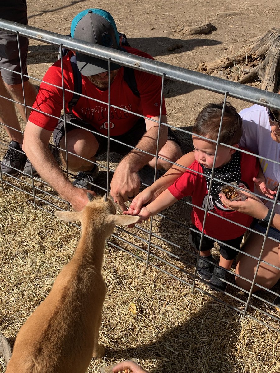 I think he wants to be a farmer. Kid loves animals 😉