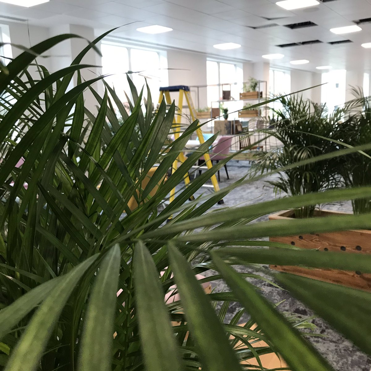 SunAlternative's tweet photo. Today we popped into the brand new @curious_lounge to see what it’s all about. Rdg should be proud of this new space for learning & meeting & working & wondering. It’s beautiful & big & even the ladders are colour coordinated & very soon there’s coffee! #rdguk #SundayAlternative https://t.co/CCZA5gn7V2
