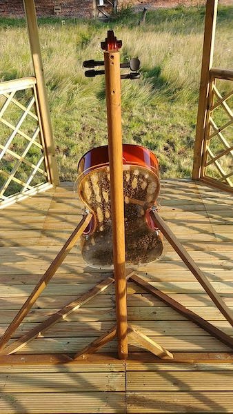 B-GOOD Project (@bgood_h2020) on Twitter photo 🐝🎻Buzzzzz... have a listen to the unique melody of the "The #Bee Cello" 
This unique #apiary installation can be seen in the gardens of Holme Pierrepont Hall & is supported by #BGOOD
holmepierreponthall.com/the-bee-cello.…
Kudos to our partner Martin Bencsik <a href="/TrentUni/">Nottingham Trent University</a>
#beehealth #honeybees 🐝🎻Buzzzzz... have a listen to the unique melody of the "The #Bee Cello" 
This unique #apiary installation can be seen in the gardens of Holme Pierrepont Hall & is supported by #BGOOD
holmepierreponthall.com/the-bee-cello.…
Kudos to our partner Martin Bencsik <a href="/TrentUni/">Nottingham Trent University</a>
#beehealth #honeybees