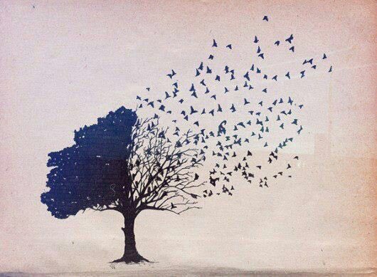 talalhamzh1's tweet photo. يُقال عندما تحبك الحياة تهديك شخصاً جميلاً !

فهل صحيحٌ ما يقال !؟ https://t.co/oKlv5TQbRI