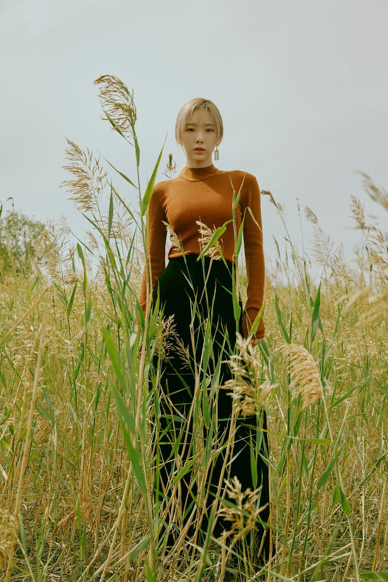 taeyeon pics tweet media