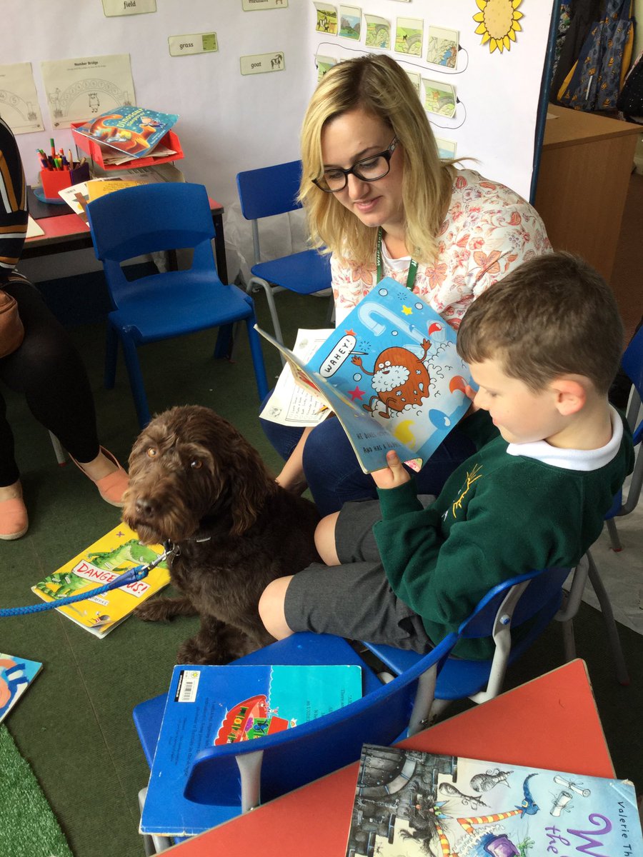 At our Reading Festival @Devizes_School_ read stories, there was puppet making, reading apps and Webster the Reading dog