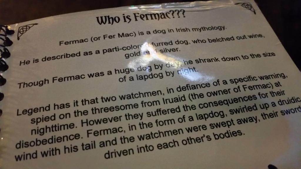 BastiSteinfaust's tweet photo. Guess I found my new Jersey-Name 😅 #Fermac #IrishHundi https://t.co/F8tQaVmnqJ