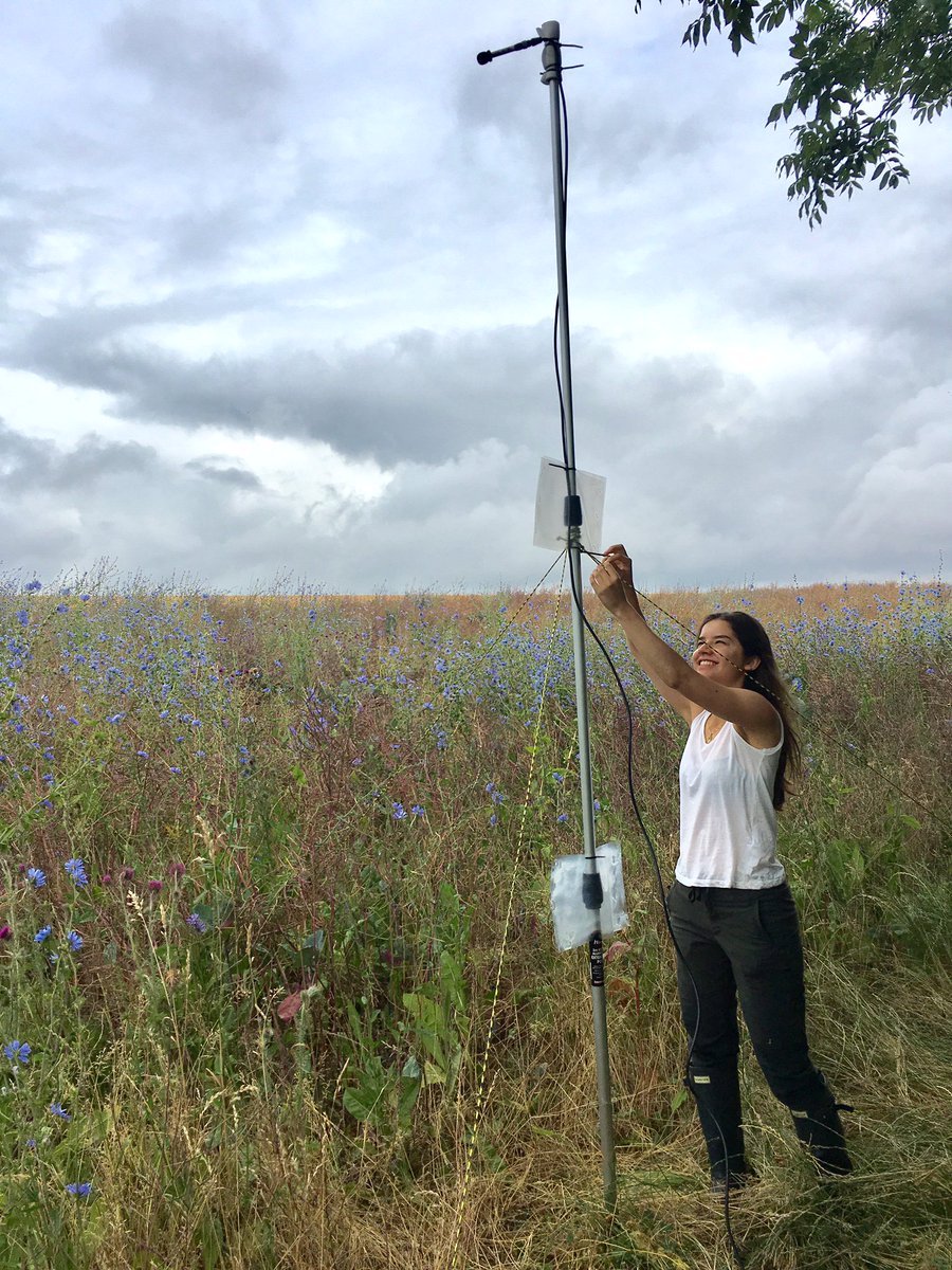 DrNiamhMcHugh's tweet photo. New paper out today!  Agri-environment scheme habitat characteristics and #bats on #arable #farmland Pls RT
https://t.co/JNs6Uer99f https://t.co/Gkd2mixS9j