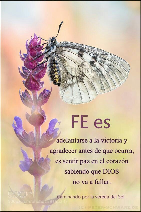 Silvia Cabello (@silviacabelloe1) on Twitter photo 