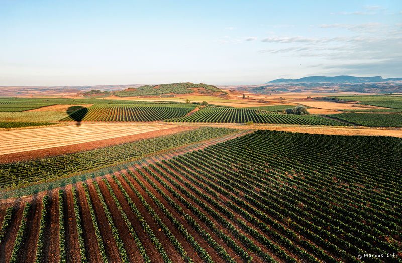 revistamasviaje's tweet photo. La Rioja, 'un espectáculo sensorial'. Avance del reportaje que aparecerá próximamente en quiosco. @lariojaturismo
@GlobosArcoiris @LosAgustinos @FincaArandinos @AytoSDC @fsanmillan @aytoharo @haroturismo @SVSonsierra
#España #Fujifilm #LaRioja https://t.co/v9209EfBrZ https://t.co/wP1XTi0O6x