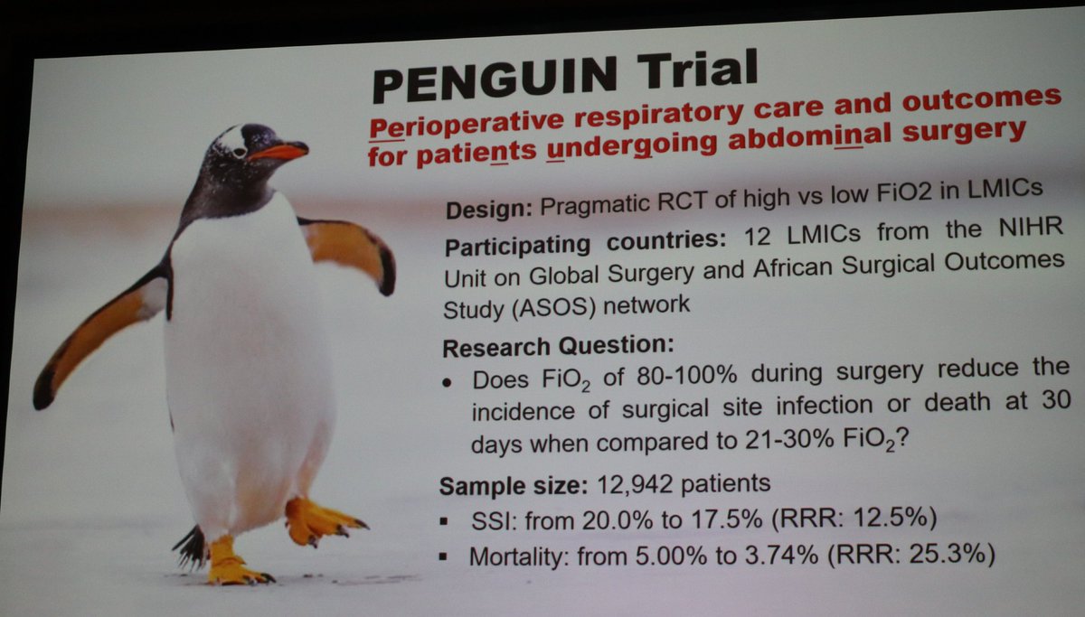 Great research trial project with potential significant impact by #janetmartinwho