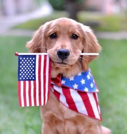 AmericasDrum's tweet photo. @MADE__USA #NovemberRedTsunami GURANTEEING A RECORD BREAKING #Trump2020LandslideVictory TAKING ALL 50 STATES👍🥳🤸‍♂️🙋‍♂️🎉🙌🥂🎂🎗️ #KeepAmericaSafe #KeepAmericaAmerican #KeepAmericaGreat2020 https://t.co/TmO8TLCLAb