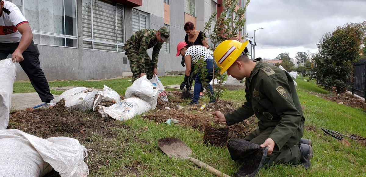 Ingenieros_EJC's tweet photo. Batallón @Ingenieros_EJC n.°13 "General Antonio Baraya, #BAPOM13, #BAFLA, @JBotanicoBogota y comunidad, realizaron jornada de recuperación ambiental #OperaciónArtemisa con la siembra de 359 árboles y arbustos de especies nativas en áreas verdes de conjunto residencial en #Bogotá. https://t.co/TPKFvrVySe