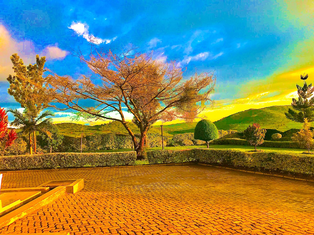 ArnoldGachire's tweet image. I bleed blue, yellow, green #NyagaWhite #Musheri #Rwanda