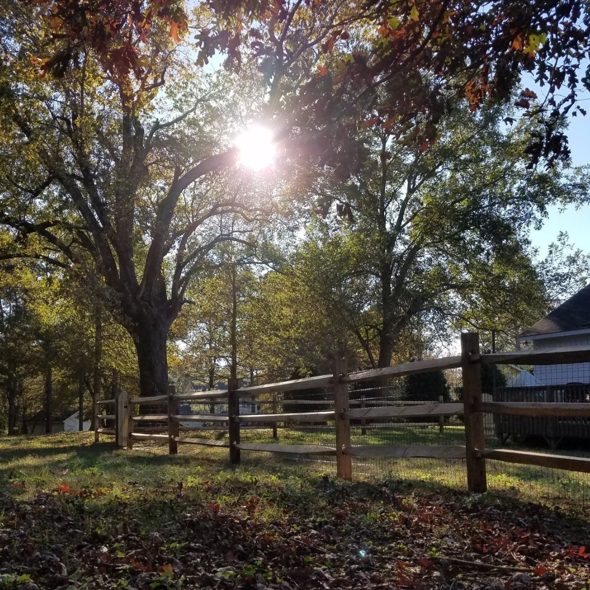 HarrisonFence's tweet photo. This is the perfect fence for those fall home photos. https://t.co/jvV8sXaEqj