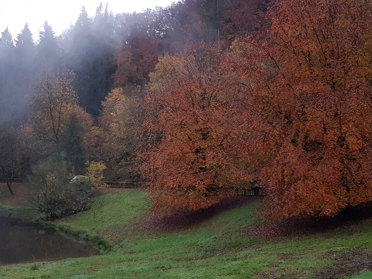 krisporelmundo's tweet photo. Luxemburgo es una escapada perfecta para un fin de semana largo. Ahora que llega el otoño el país se tiñe de dorado y muestra su cara más bonita. Te cuenta el viaje que @wircky y yo hicimos hace unos meses https://t.co/IW8tOQvTV2 https://t.co/QxiAgWRcJU