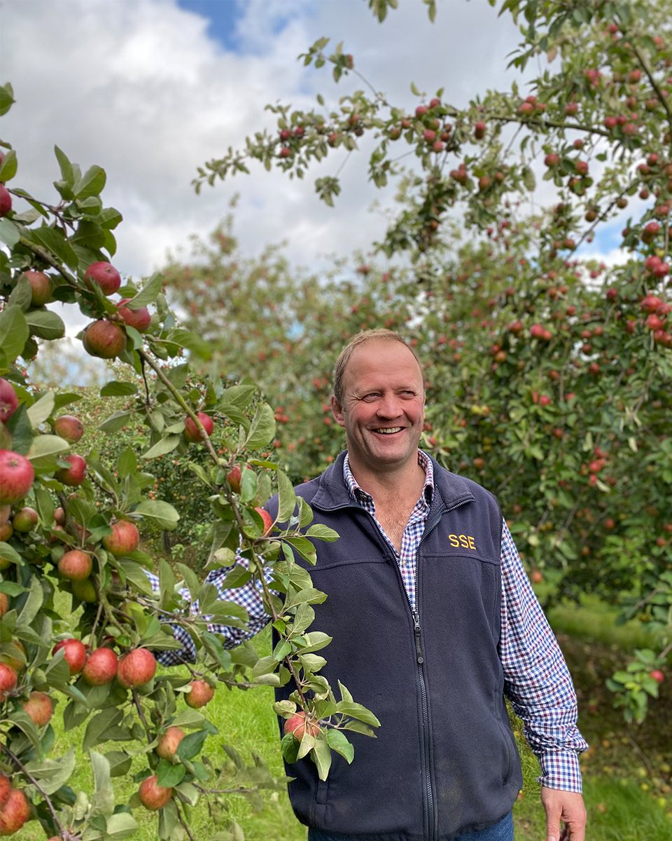 Meet <a href="/jeffvp7/">Jeff van Poortvliet</a>, one of our proud Aspall apple growers. The unique nature of the apple, and its ability to produce countless variations of itself are at the heart of all of our ciders.  

#AppleDay #Harvest #Apples #Aspall #Suffolk #Cider

<a href="/AspallVinegar/">Aspall Vinegar</a> 

Please Drink Responsibly