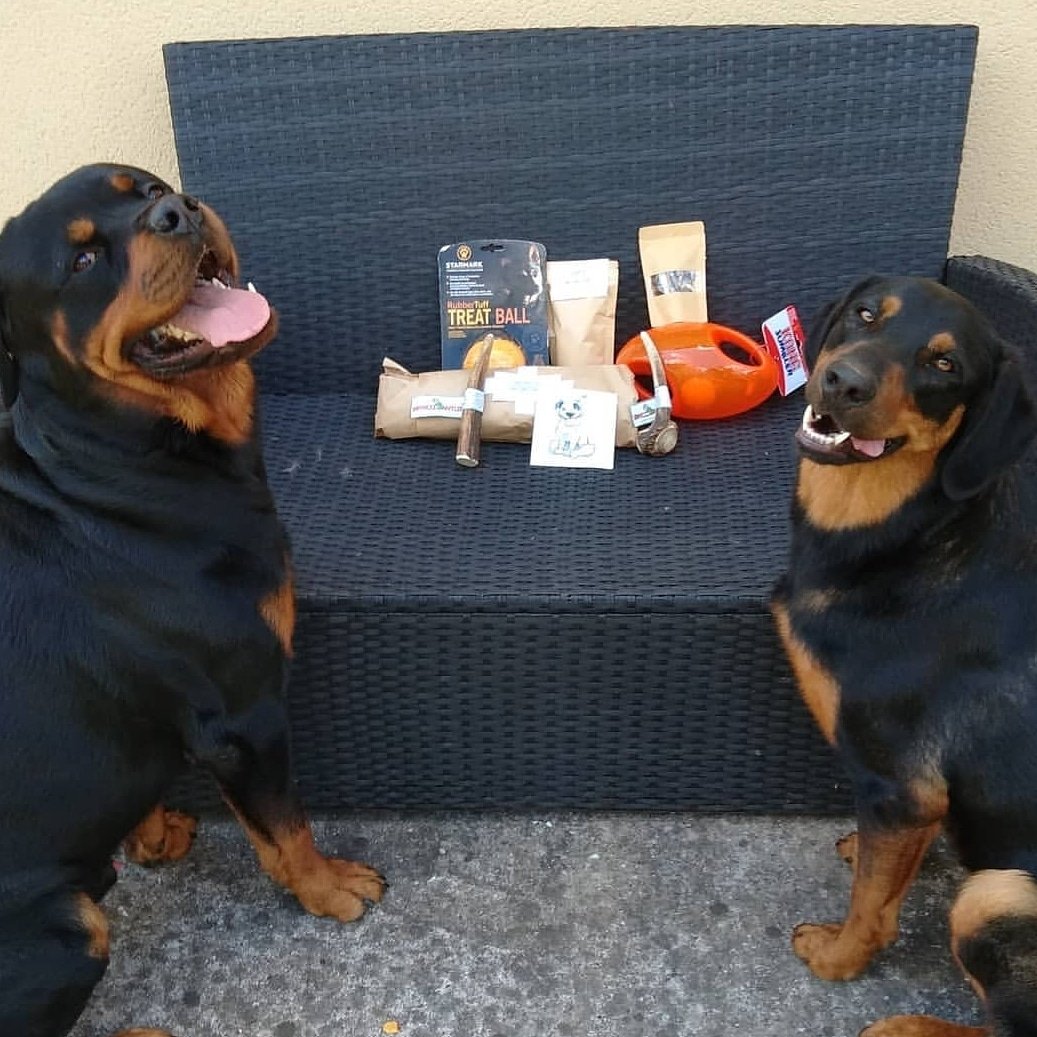 Indestr79148972's tweet photo. Lasco et Titch ont reΓ§us leur colis indestructibletoyz π
https://t.co/VxsWHa3c5f
#rotweiller #beauceronlovers #beauceron #molosse #instamoment #indestructibletoyz #2chiens https://t.co/Bpqo6XdU91