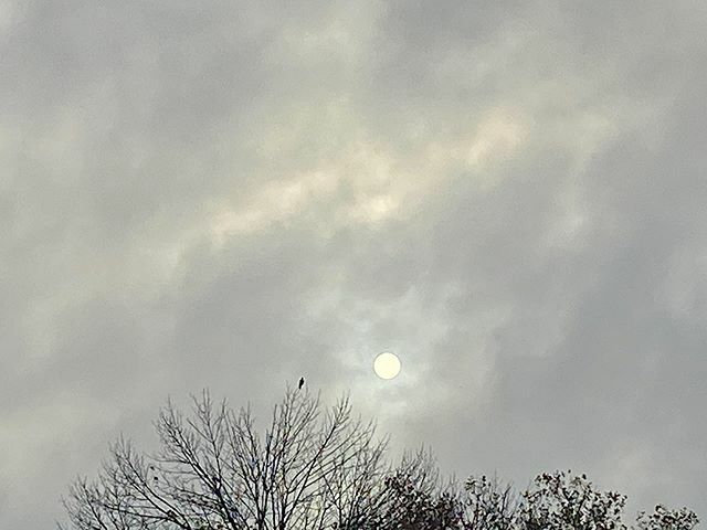 Clouds on a sunny day. #morningsun #autumn #birdonatree #fullsun #moments #morningvibes #beherenow #mindfulness ift.tt/2J9bGhm