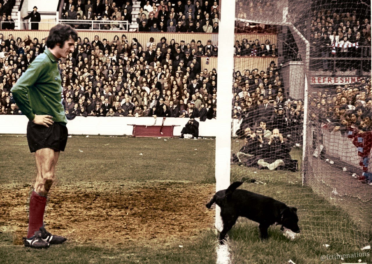FOTOS HISTORICAS O CHULAS DE FUTBOL - Página 18 EHafvSsWkAgdJ8S?format=jpg&name=large