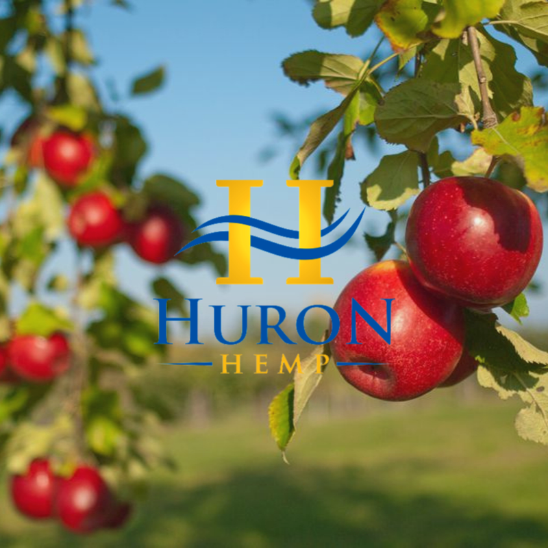 huronhemp's tweet photo. Happy National Apple Day 🍎 Get your fresh apples before the winter season is upon us 😥
.
#NationalAppleDay #CBDOil #CBD #HuronHemp #Health #Nature #FreshFood 
.
Are you looking forward to the winter? https://t.co/DA9RtEnBNb