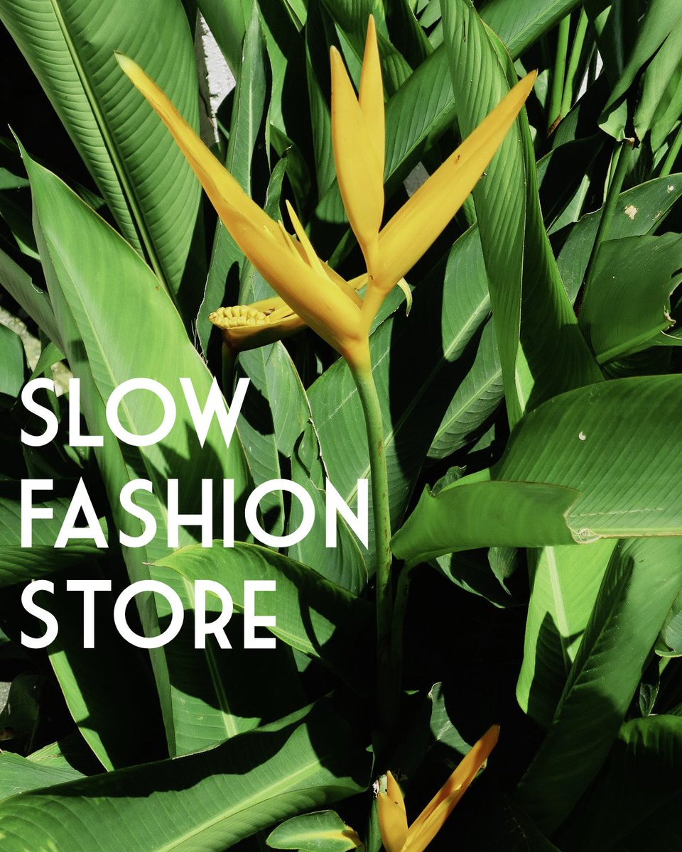SlowFashionS's tweet photo. Welcome to Slow Fashion Store 2.0. Over the past few weeks, we have made some BIG changes. Whether you’re an old friend or a new one, let us introduce ourselves. We are Slow Fashion Store, a sustainable, ethical and vegan online marketplace for women’s accessories. https://t.co/HrEBqK9baa