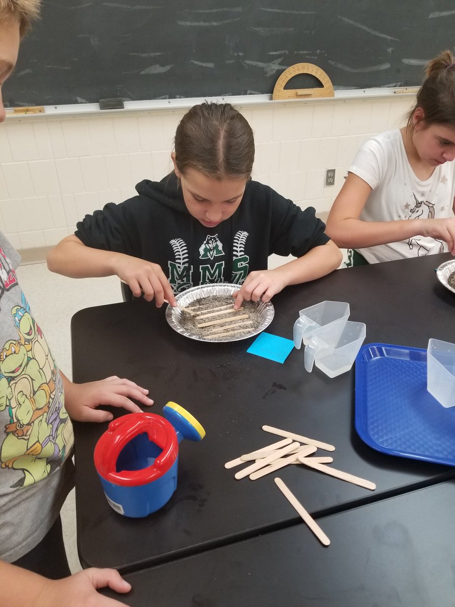 MrsATower's tweet image. Students in my 2nd hour class creating models of fields using contour plowing, terracing, and straight plowing to see the most effective method to conserve soil. #7twolves7pride