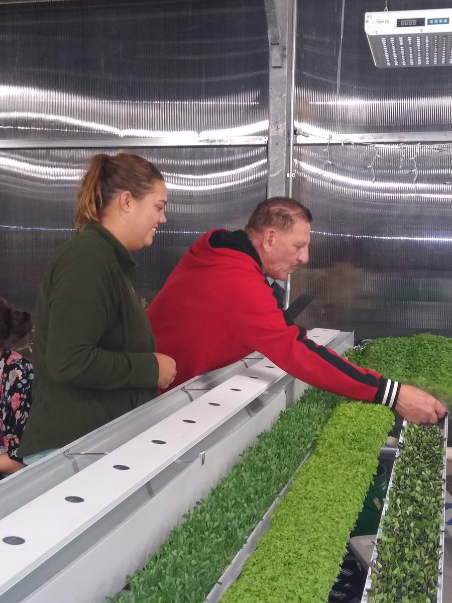 Genesis_Agri's tweet photo. Microgreens is our passion! Our founder, Leo Frontera, is an advocate for organic homegrown produce for the community. We look forward to educating you on #urbanfarming and bringing #Green to your community!⁣
⁣
Message us for tips on how to start your own #urbanfarm!⁣
 
⁣ https://t.co/wsSNNcvDU8