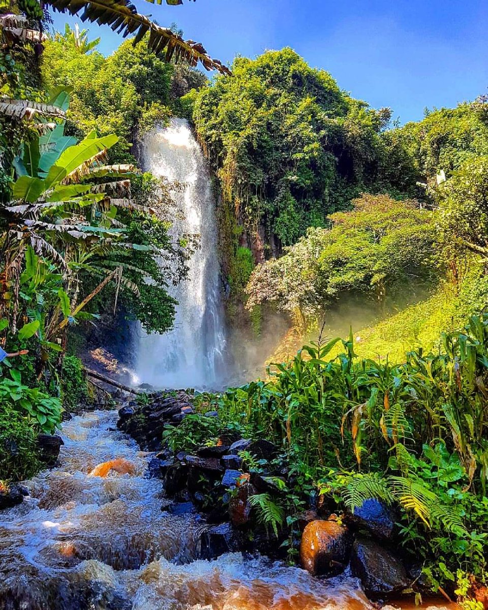 MisterJo27000's tweet photo. Connaissez vous les chutes de Tsinkop à Dschang?

©️📷 @samolomballa https://t.co/q06nj1KTe3