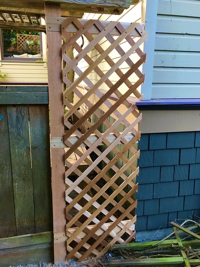 FixItFernwood's tweet photo. Fence rehab and fresh lattice build
#latticefixit #lattice #fence #fencefixit #fixitfernwood #fix8marketing #yyj #yyjre #yyjrealestate #yyjbiz #localyyj #yyjbusiness #victoriabc #victoriabuzz #viccity #yyjlife #cityofvictoria #victoriahype #smallbusiness #hardscape https://t.co/7lvnDg1EI3