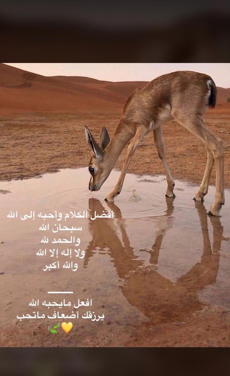 ركاد الاشجعي (@rkaade12) on Twitter photo 