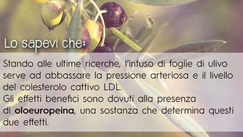 Lo sapevi che...?
Acquista il nostro olio su oliopace.it