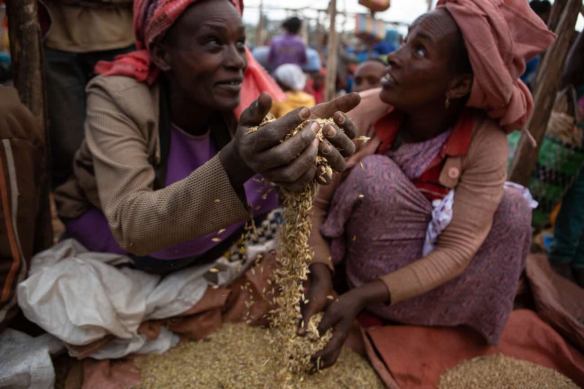 CGIAR's tweet photo. “We must do more to help smallholder farmers build resilience in the face of #climatechange & I urge all govts present to continue…to support this critical institution over the next 12 months.” @BillGates @UNClimateSummit Learn more: https://t.co/ejdpyoASjA #ClimateWeek2019 https://t.co/I6jkZqSN0C