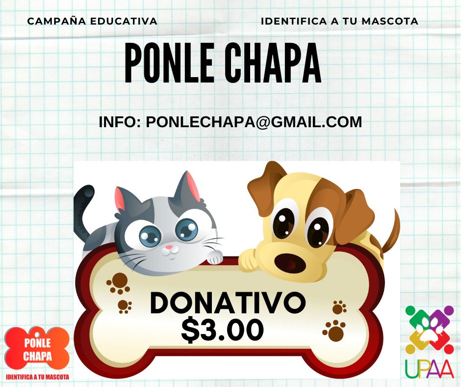 upaavb's tweet photo. Ponle chapa !  Campaña educativa de #Ponlechapa y #Upaavb
Info &amp; FORMULARIO de solicitud   AQUI 

https://t.co/HHl0gCbLaq https://t.co/MHICFbuwtD