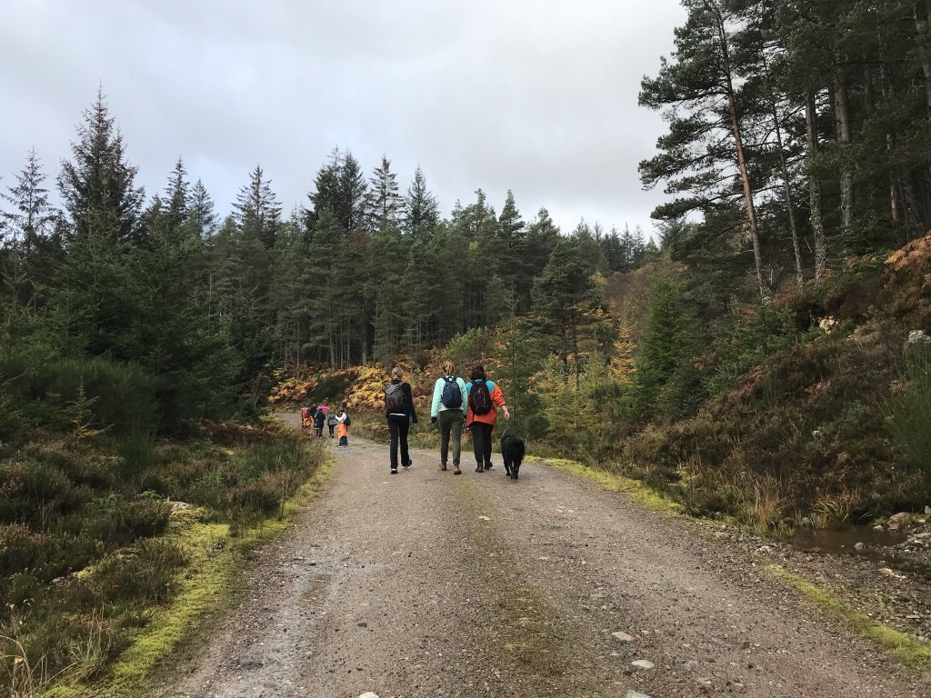 The image depicts the back of some MSc students in the middle of the wood located next to Loch Ness.