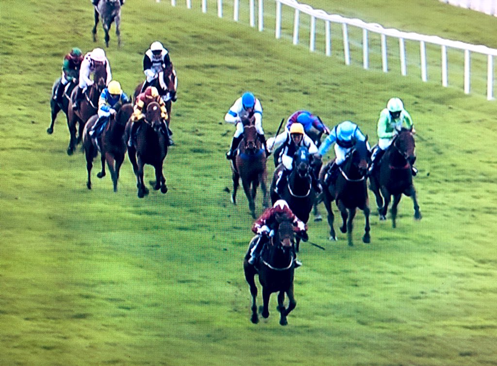 amajox's tweet photo. Congrats @amajox @jamesyharding wins @WindsorRaces #ParaQueen @heathermain3 #14ran #topjock🏆👏🥂👍👏👏👏 https://t.co/mT6IFg1JVz