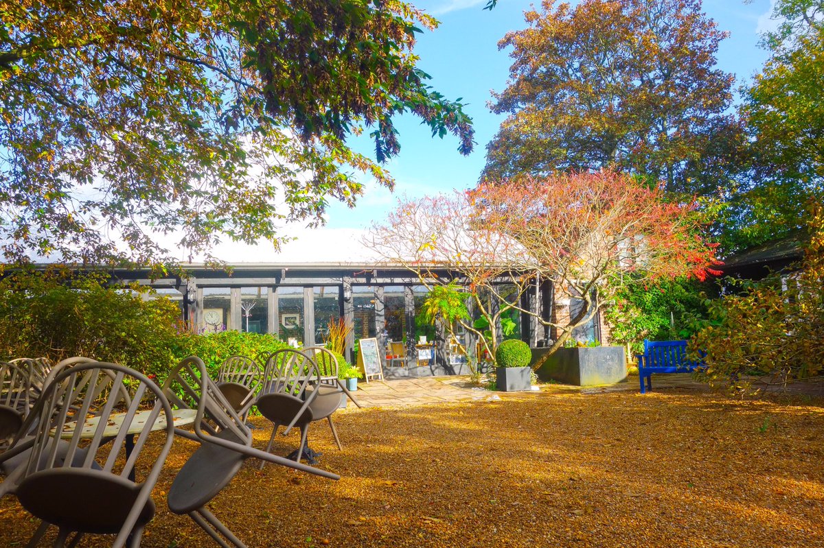sanshui596's tweet photo. #DenmansGarden #Fontwell #WestSussex
#autumn #denmans #westergate #arundel #garden #cafe #countryside #joycerobinson #johnbrookesmbe #johnbrookes #dryriverbeds #wildlife #pond #clockhouse #sculpture #cottage #gravelgardens #landscaping #walledgarden #giftshop #trees #shrubs #uk https://t.co/aoeVhebKJJ