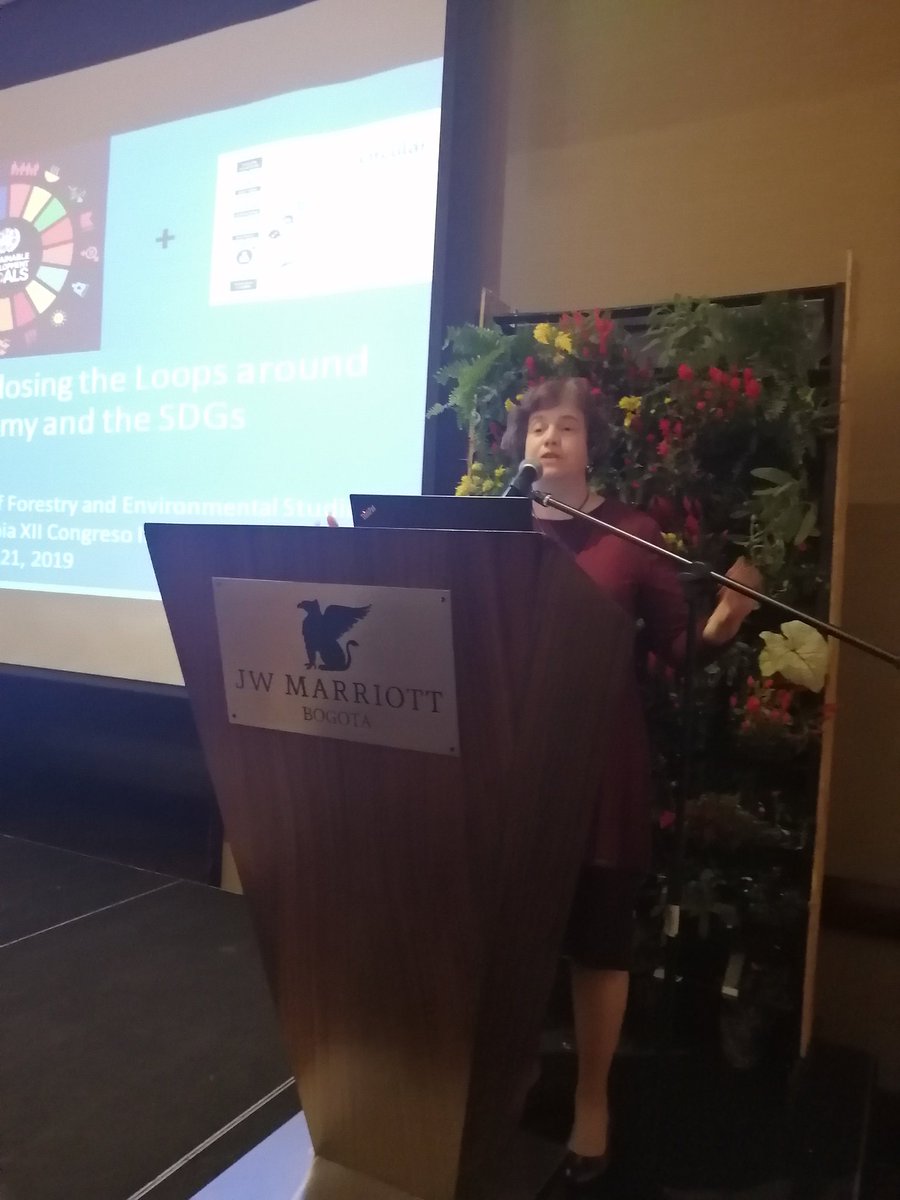 La profesora de la Universidad de Yale, Marian Chertow en este momento en la tarima del XII Congredo Internacional de Medio Ambiente