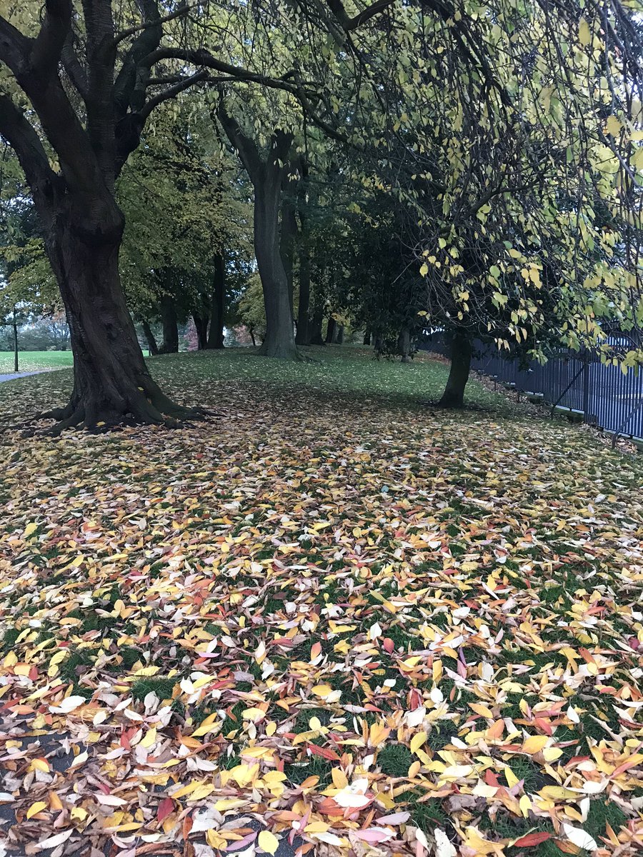 Ruth_MP's tweet photo. @Hudsonweather @BBCWthrWatchers. Autumn morning Greenhead Park, Huddersfield https://t.co/lKQLs72gOQ