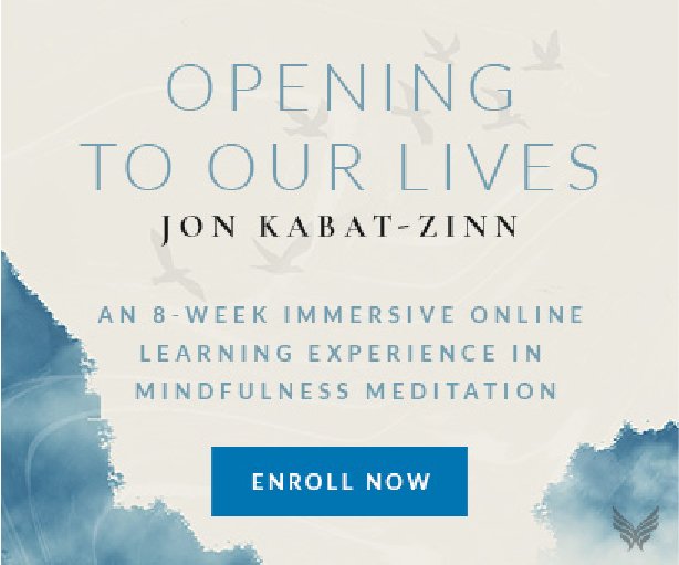 Download Jon kabat zinn einfach und sicher For iPhone Free Jon Kabat Zinn Einfach Und Sicher