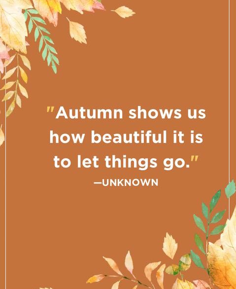 Happy Monday and happy Fall everyon! #MondayMotivation