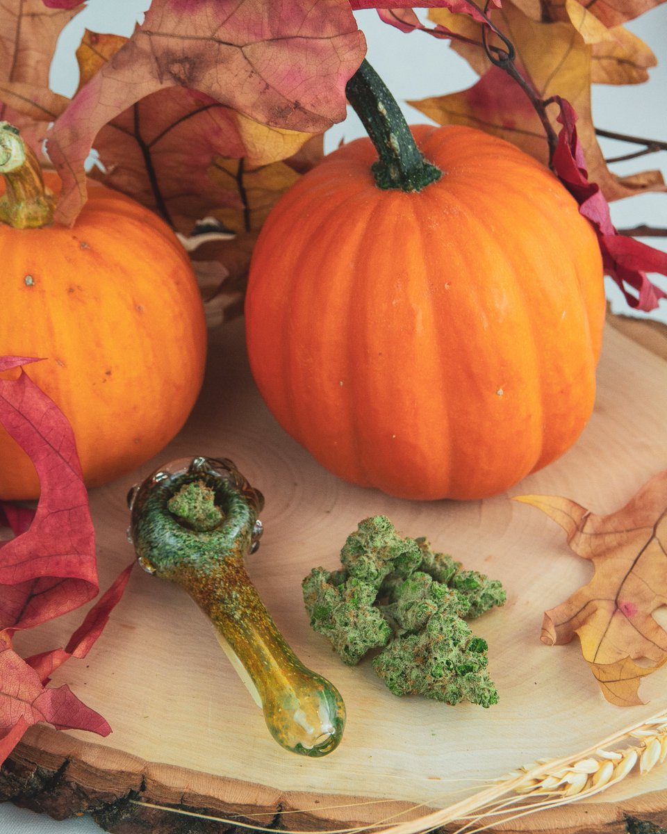 Spooky season is here 🔮🎃👻☠️