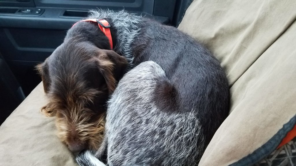 Wet and wild scottlindenoutdoors.com/2019/10/21/wet…