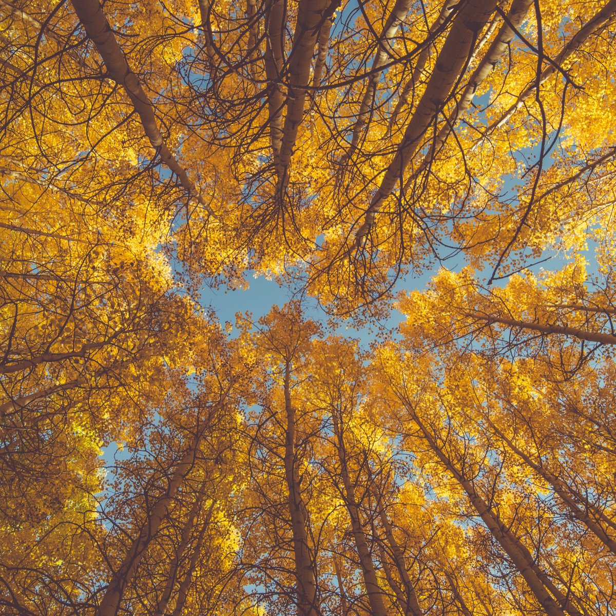Never stop looking up!