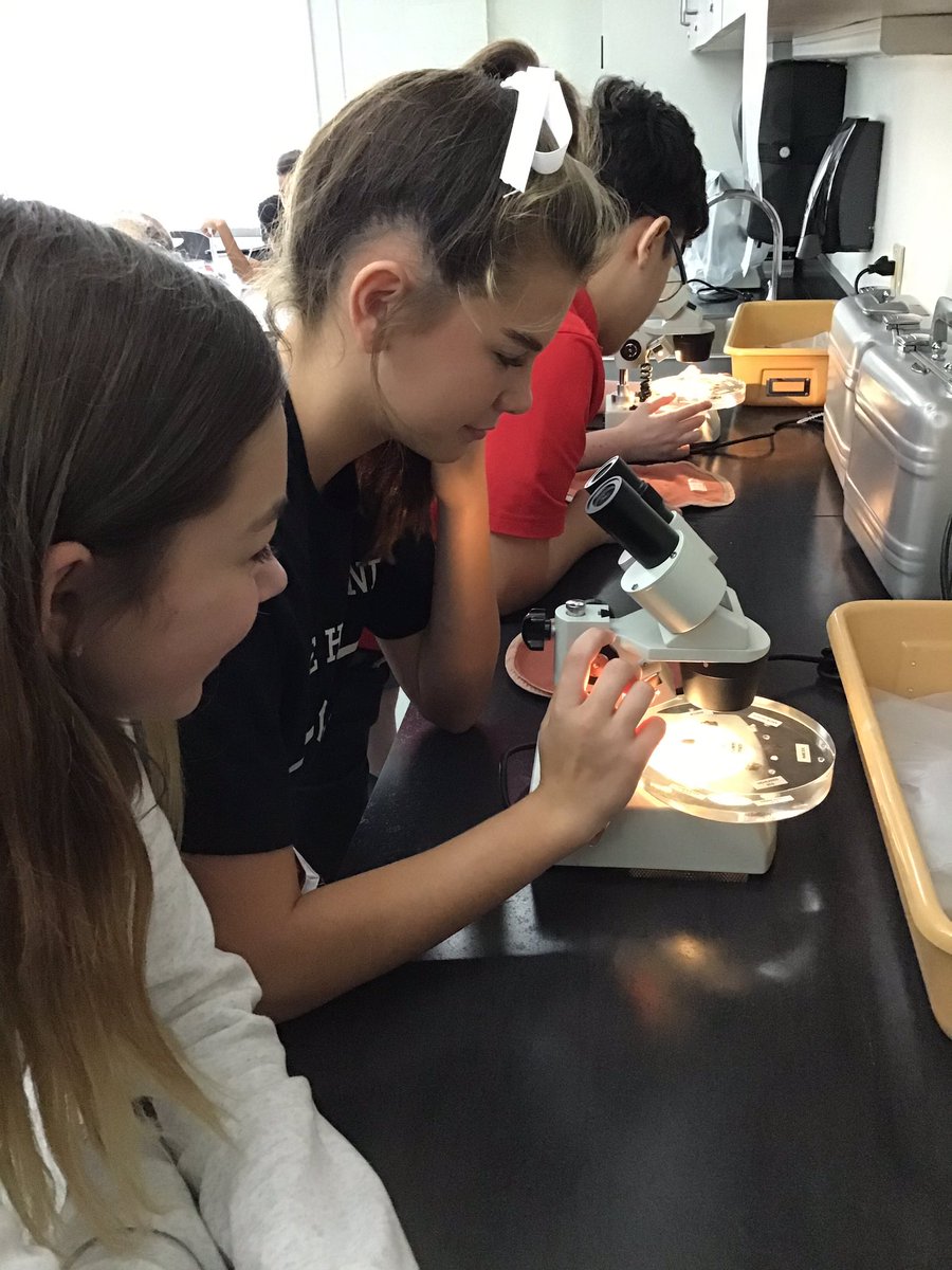 Our 7th graders got to spend time working with moon and meteorite samples on loan to us from NASA! The precious moon rocks are living history having been collected and returned on Apollo missions! Many of the meteorites were collected in Antarctica!