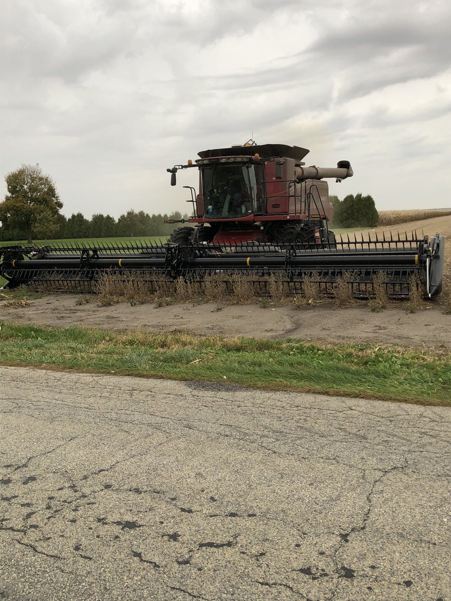 Last pass of beans #harvest19