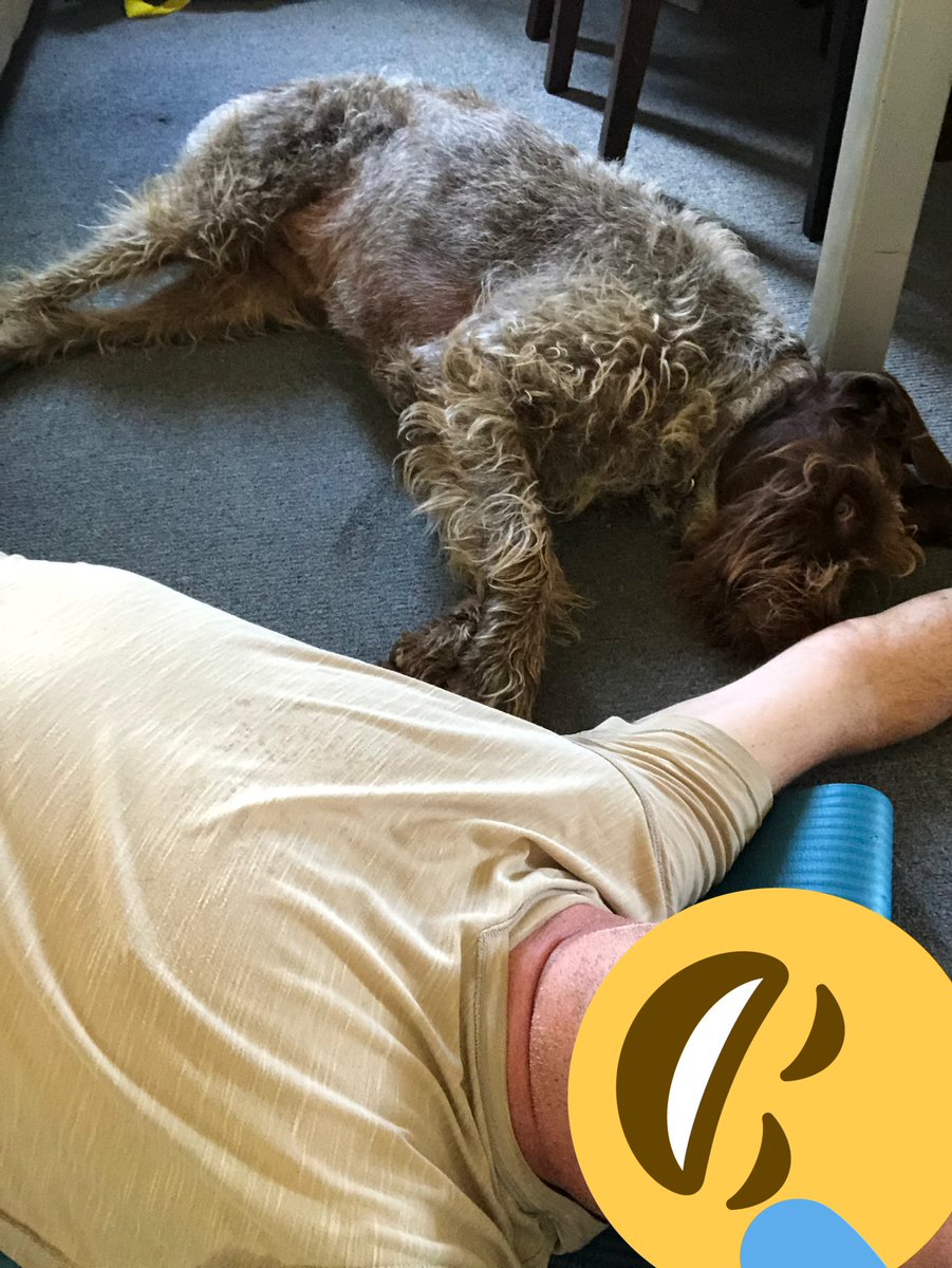 Christo30366089's tweet image. My little stretch helper #30dayABchallenge #puppies #sexyfit #abs @browofjustice @NurseOz75 @melb_couple