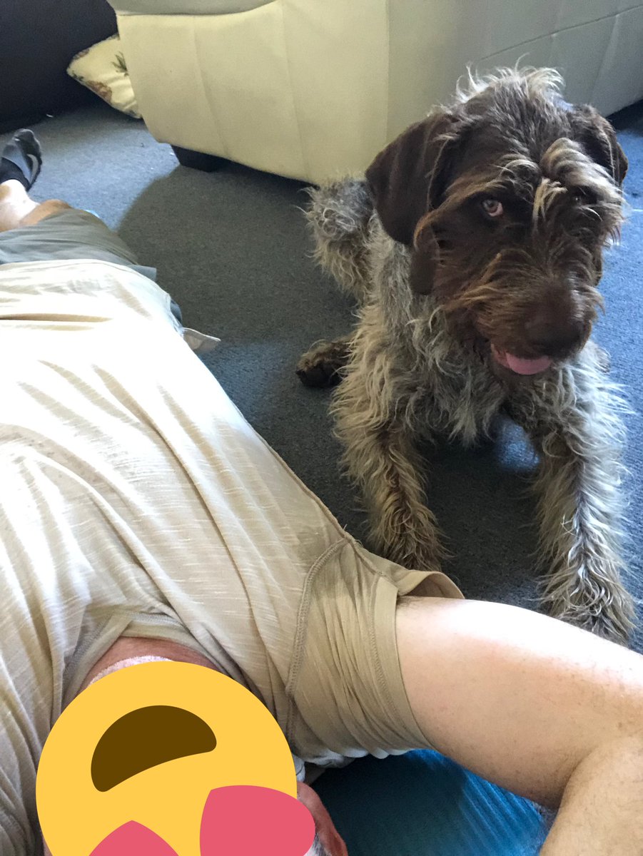 Christo30366089's tweet image. My little stretch helper #30dayABchallenge #puppies #sexyfit #abs @browofjustice @NurseOz75 @melb_couple