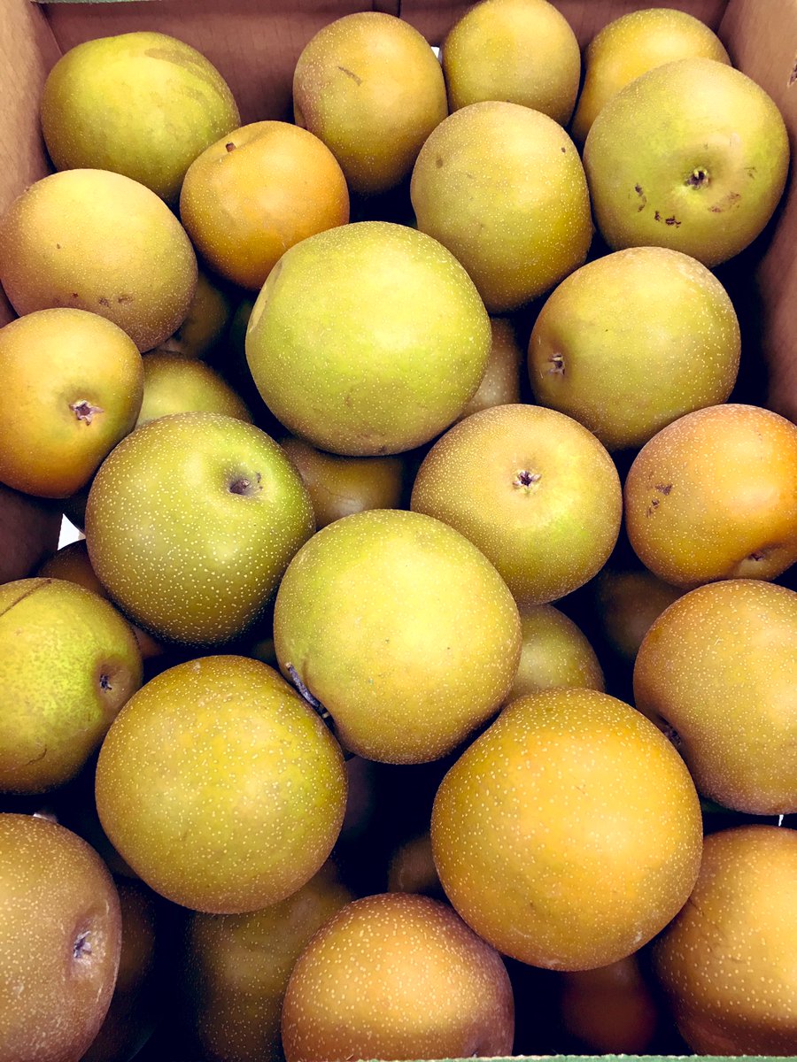 SchoolMeals_NPS's tweet photo. #LocalVA pears 🍐 were on our #SchoolLunch menu at all @NPSchools today! #farmtoschool #farmtoschoolmonth #FarmTour2019 https://t.co/g74FuGQUnd