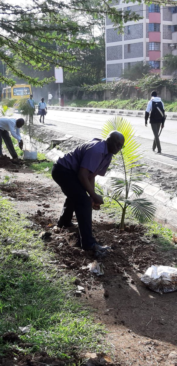 Homgad's tweet photo. @Emma999Too Make madaraka estate green again https://t.co/XXKrBA4wHa
