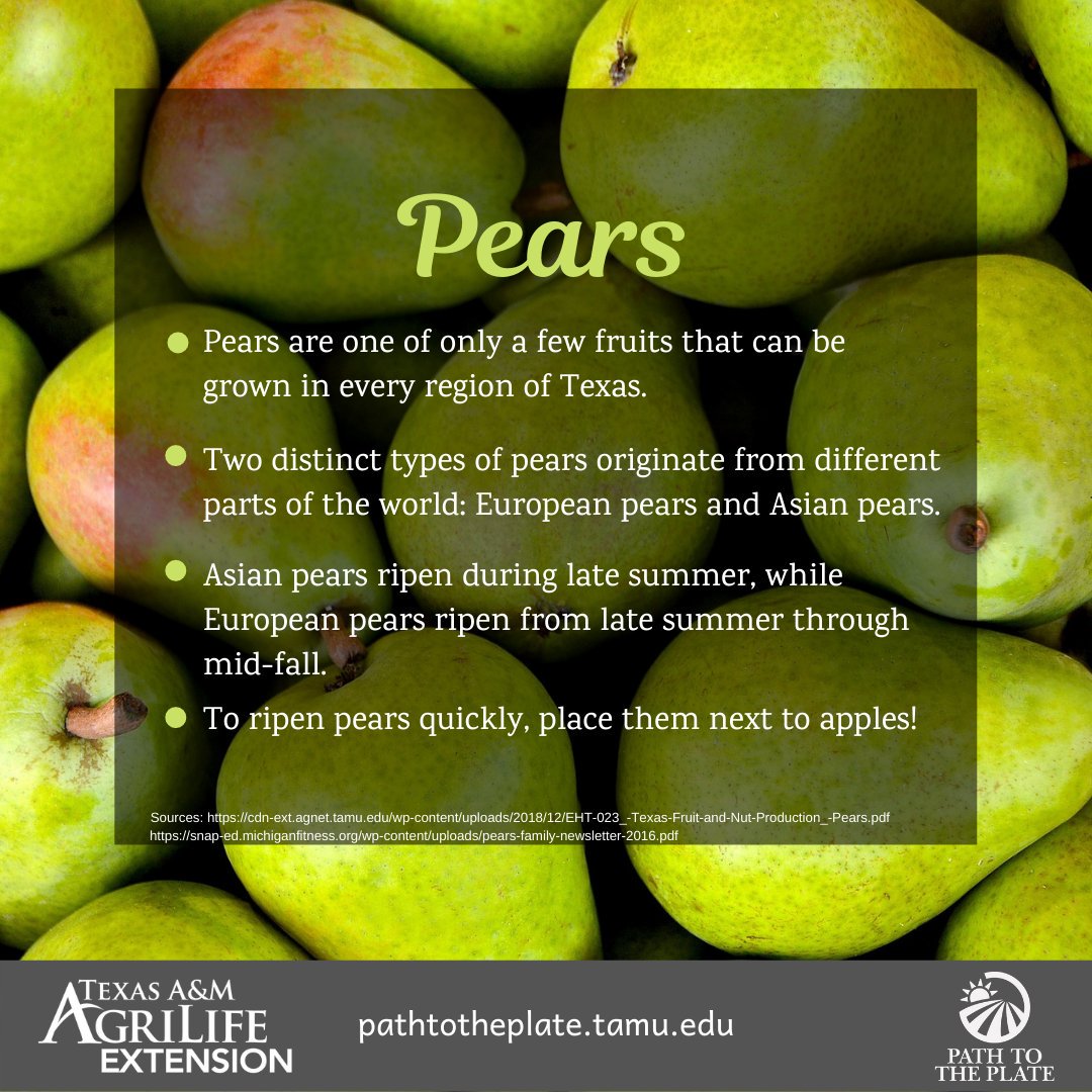 Pears are a great addition to your Fall snack lineup!