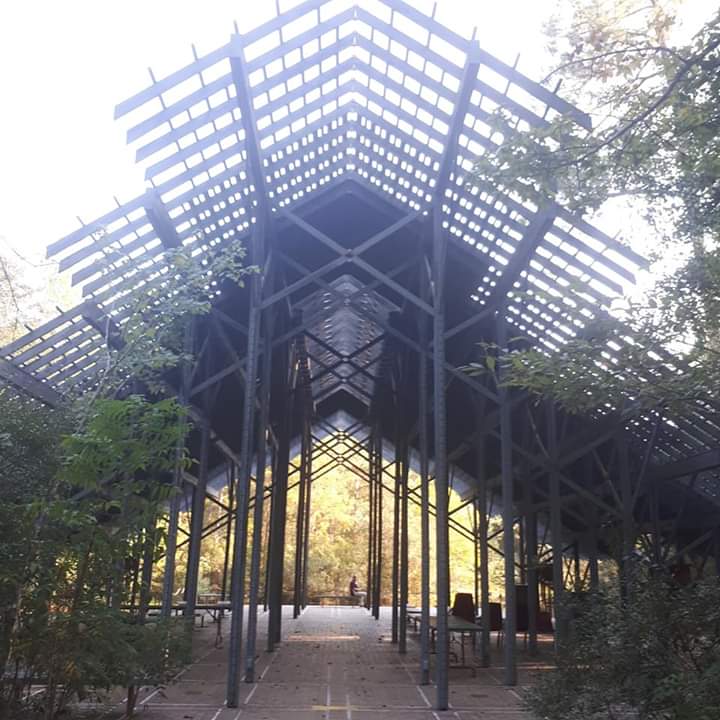 IPPS_Europe's tweet photo. Vicky recently toured nurseries and gardens across the Southern region of the US as part of the IPPS young professional exchange programme. Thanks to IPPS SR for being such great hosts 😁 https://t.co/Z0UZ8VtxpL