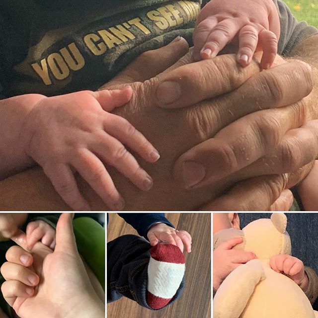 nickieva's tweet photo. These little hands amaze me every single moment. 
#proudmum #lookatwhaticandomom #firstborn #newmum #5months https://t.co/9ZfWdX1JAo https://t.co/T017iOs1p5